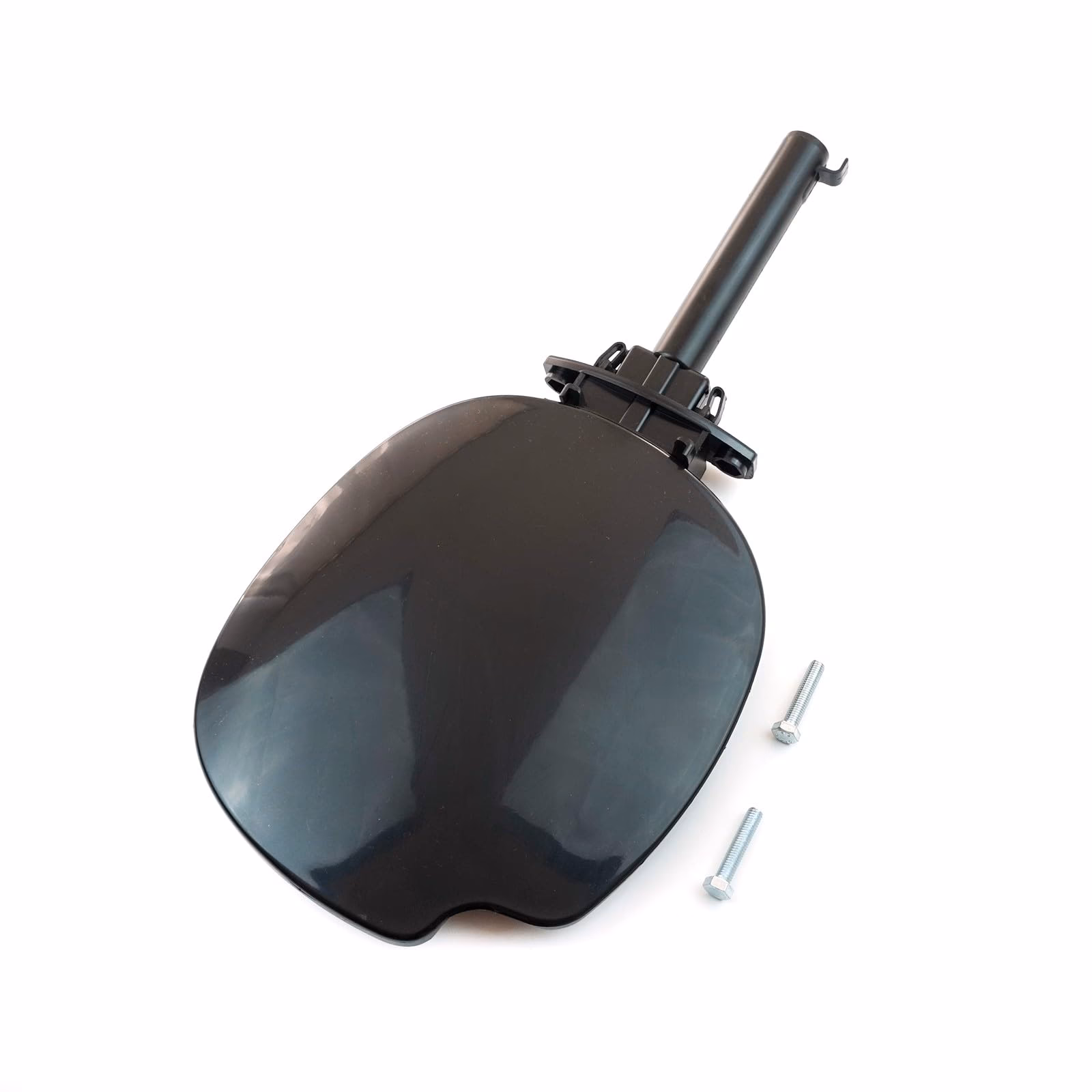 What is a common problem on Renault Clio?