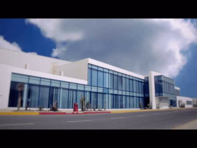 What does Hutchinson Company do?