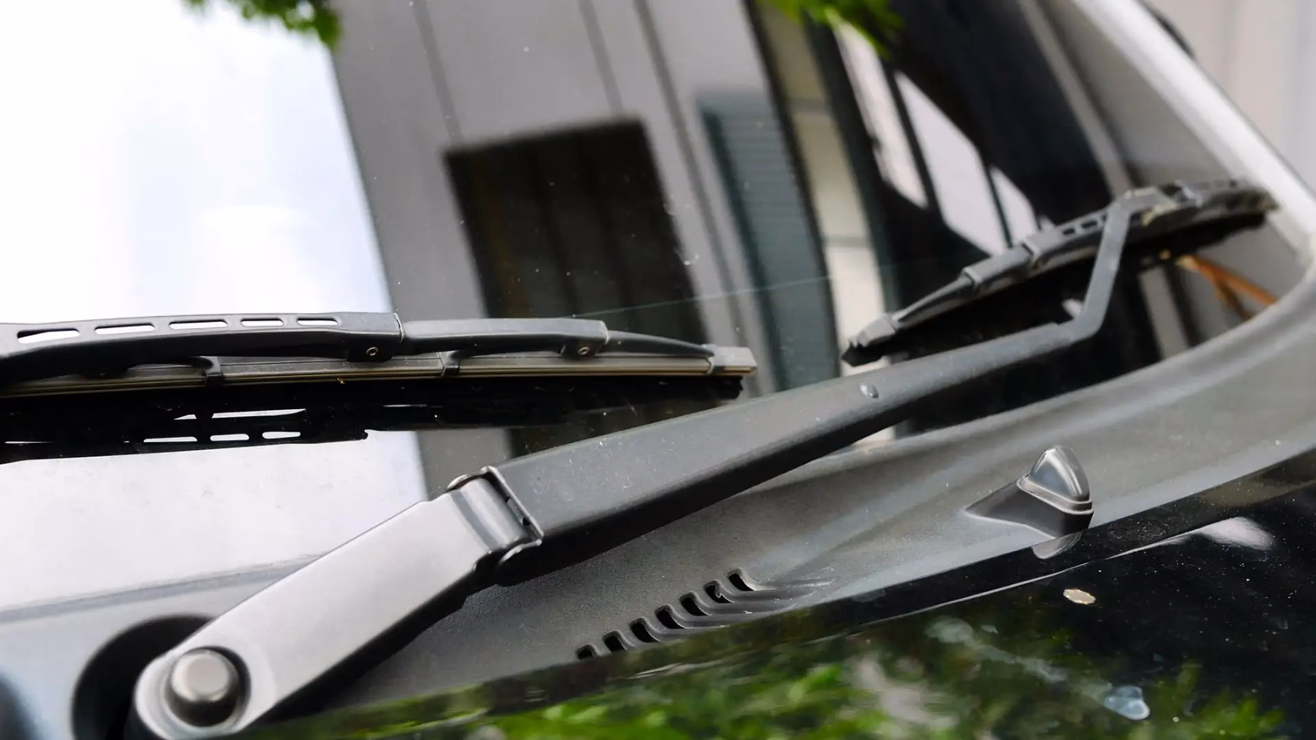 ¿Cómo se divide la carrocería?