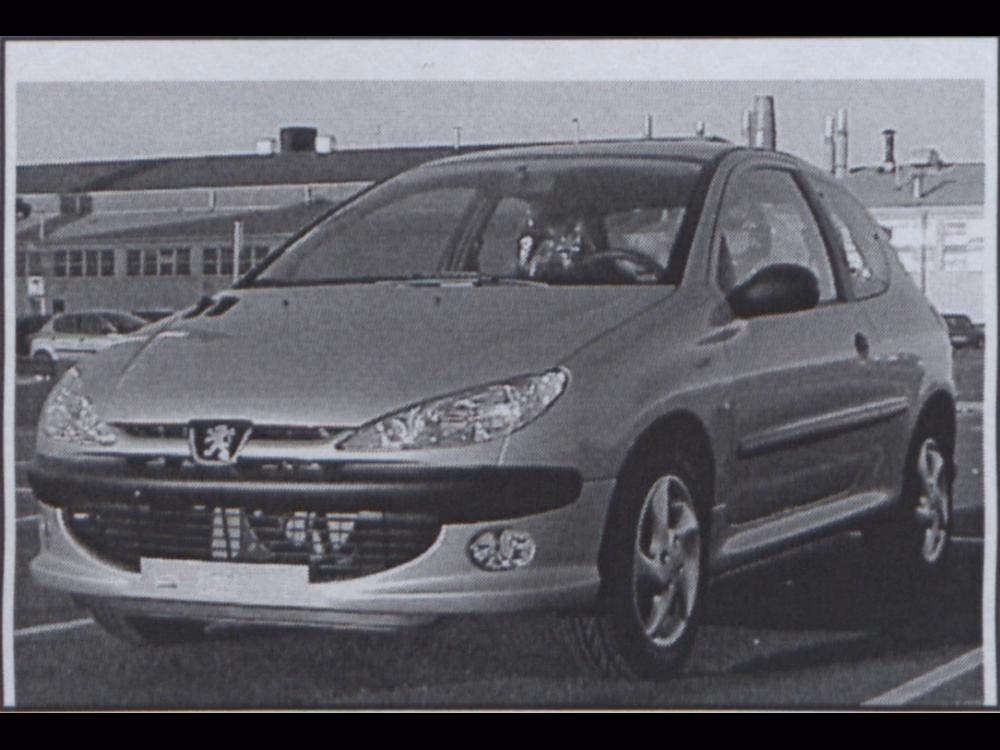 Why is the Peugeot 206 so popular?